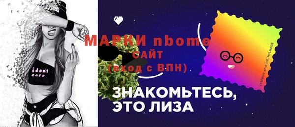 молекула духа Заволжье
