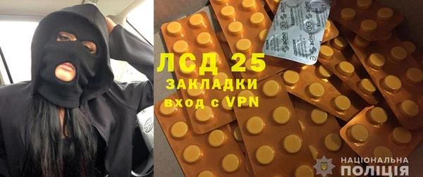 PSILOCYBIN Заволжск