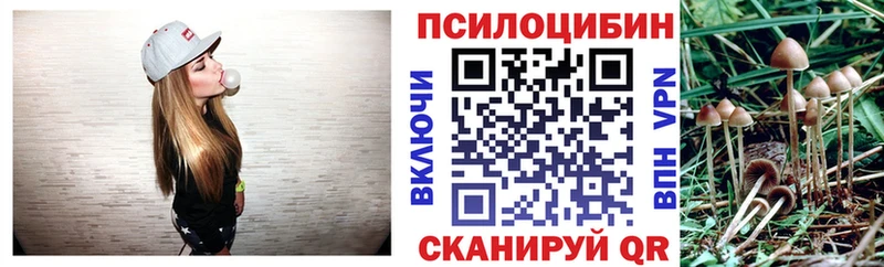 Псилоцибиновые грибы ЛСД  Купить закладки  Калач-на-Дону 